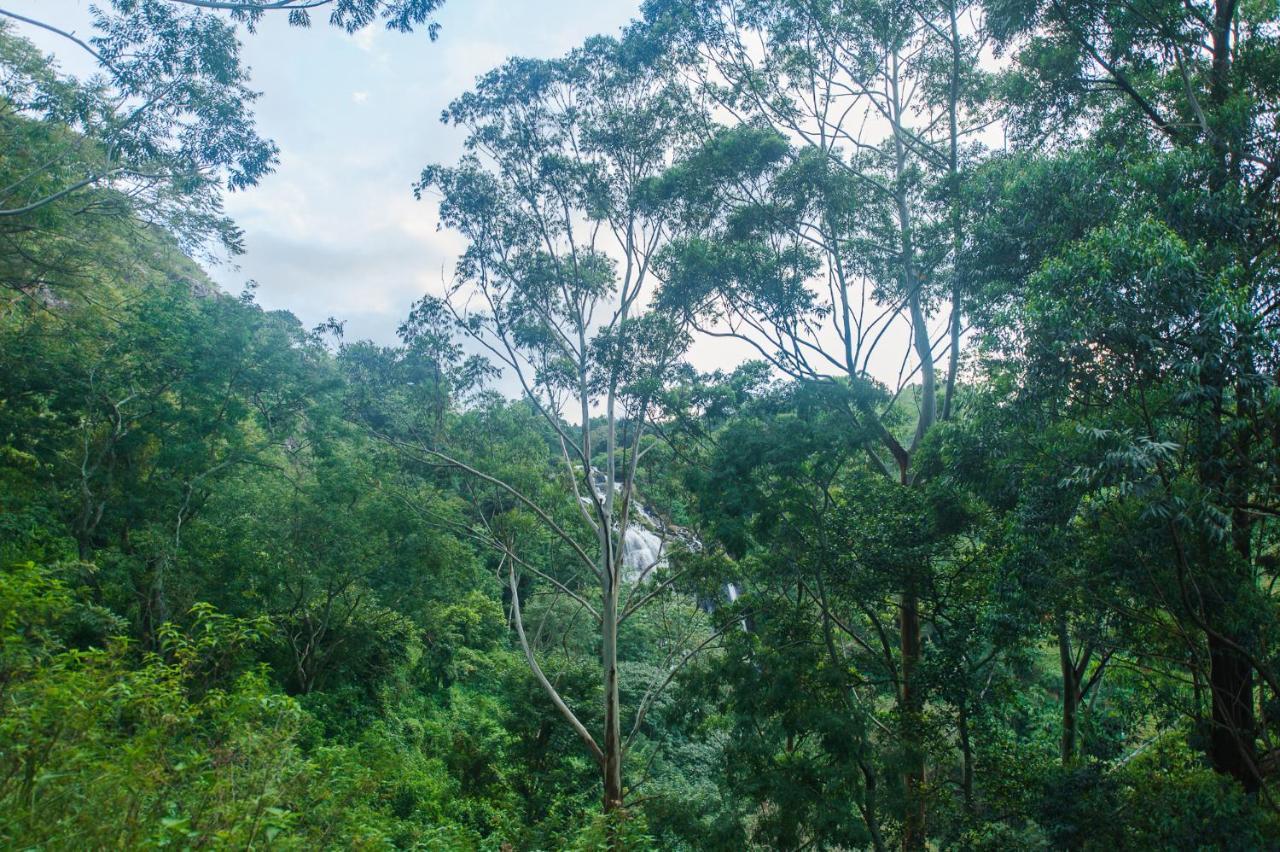 Ella Retreat Hotel Glamping Tent For Nature Lovers Esterno foto